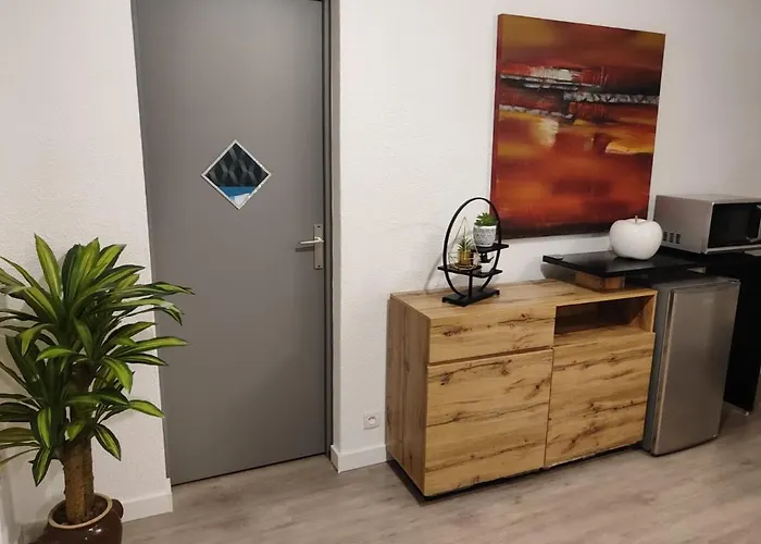 Chazi Proche De La Cite Espace * 툴루즈